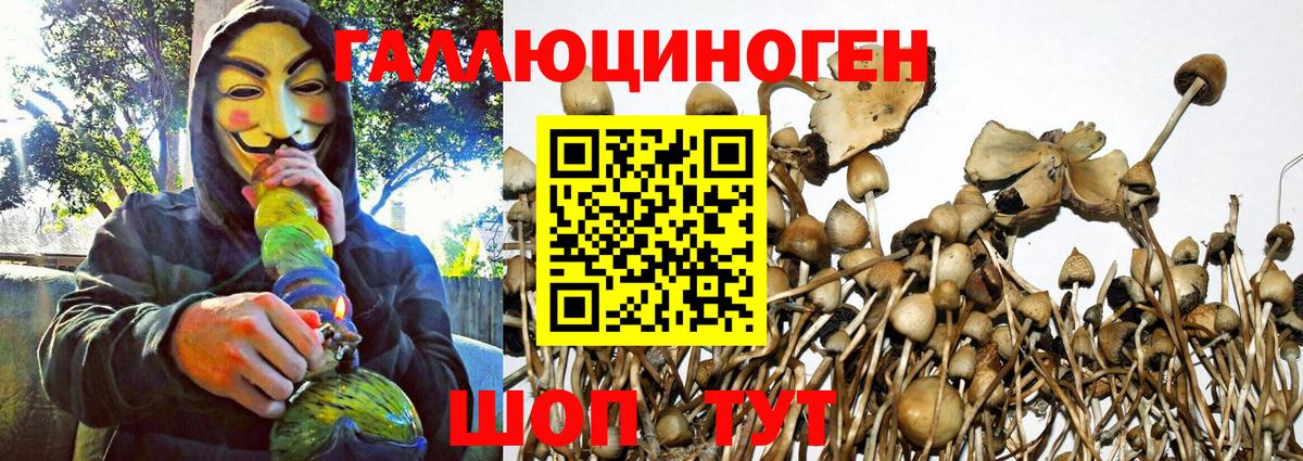 Ахтубинск  Псилоцибиновые грибы Magic Shrooms  Вход с VPN  Псилоцибиновые грибы Psilocybine cubensis 